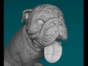 English Bulldog with tongue Modelo de Impressão 3D