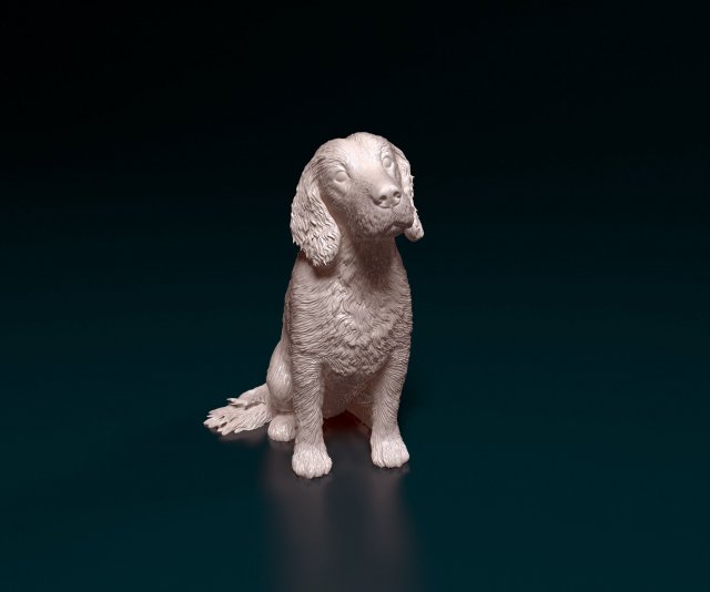 English Cocker Spaniel sitting 3D Print Model .c4d .max .obj .3ds .fbx .stl .blend 