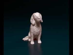 English Cocker Spaniel sitting 3D Print Model
