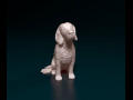 English Cocker Spaniel sitting 3D प्रिंट मॉडल