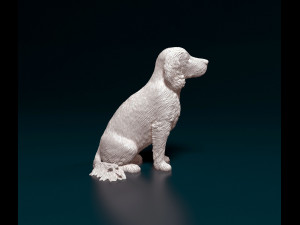English Cocker Spaniel sitting 3D Print Model