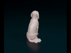 English Cocker Spaniel sitting 3D Print Model
