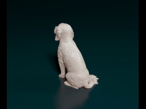 English Cocker Spaniel sitting 3D Print Model