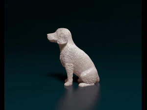 English Cocker Spaniel sitting 3D Print Model