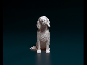 English Cocker Spaniel sitting 3D Print Model