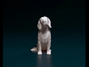 English Cocker Spaniel sitting 3D Print Model