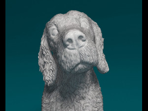 English Cocker Spaniel sitting 3D Print Model