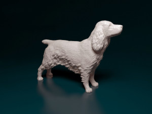 English Cocker Spaniel 3D Print Model