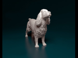 English Cocker Spaniel Modelo de Impressão 3D