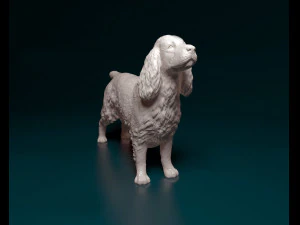 English Cocker Spaniel 3D Print Model