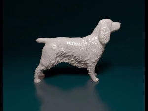 English Cocker Spaniel 3D Print Model
