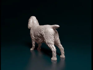 English Cocker Spaniel 3D Print Model