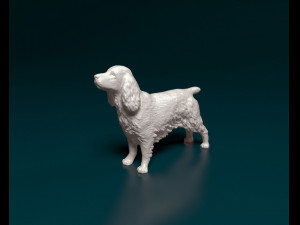 English Cocker Spaniel Modelo de Impressão 3D