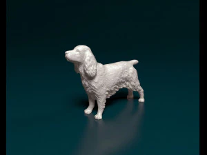 English Cocker Spaniel 3D Print Model