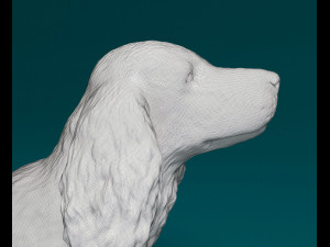 English Cocker Spaniel Modelo de Impressão 3D