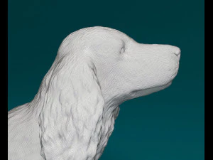 English Cocker Spaniel 3D Print Model