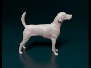 English Foxhound dog 3D Print Model