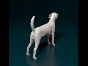 English Foxhound dog 3D Print Model