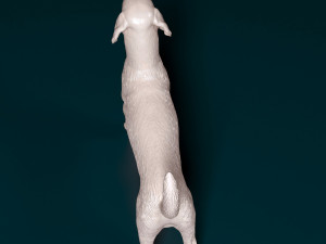English Foxhound dog Modello di stampa 3D