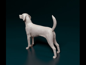 English Foxhound dog Modello di stampa 3D