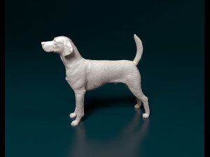 English Foxhound dog Modello di stampa 3D