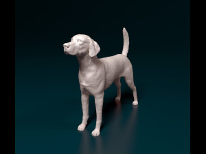 English Foxhound dog Modello di stampa 3D