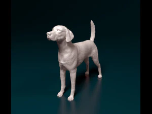 English Foxhound dog 3D Print Model