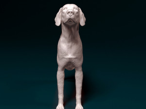 English Foxhound dog Modello di stampa 3D