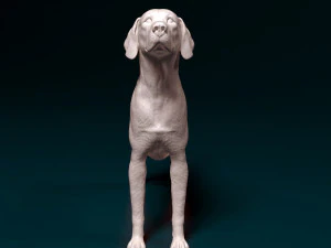 English Foxhound dog 3D Print Model