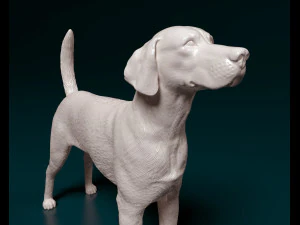 English Foxhound dog 3D Print Model
