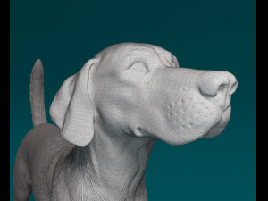 English Foxhound dog Modello di stampa 3D