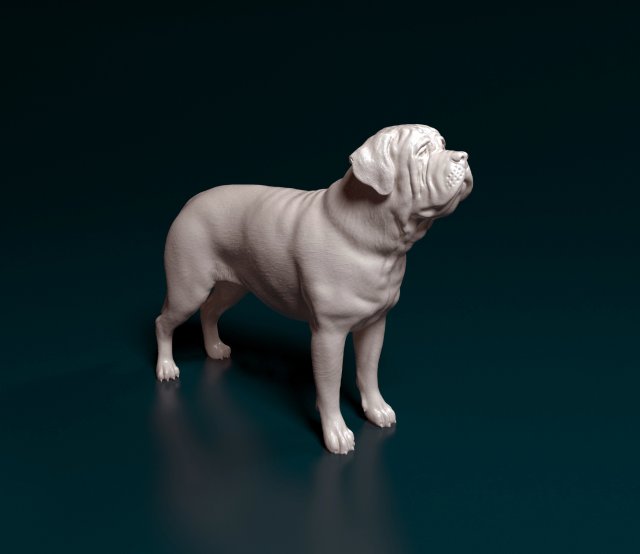English Mastiff Modèles 3D en vedette .c4d .max .obj .3ds .fbx .stl .blend 
