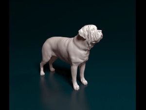 English Mastiff 3D Print Model