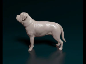 English Mastiff 3D Print Model