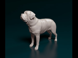 English Mastiff Modèles 3D en vedette