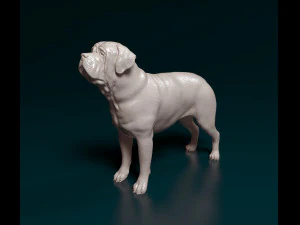 English Mastiff 3D Print Model