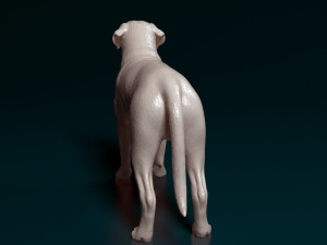 English Mastiff Modèles 3D en vedette