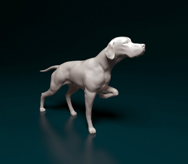 English Pointer 3D प्रिंट मॉडल .c4d .max .obj .3ds .fbx .stl .blend 
