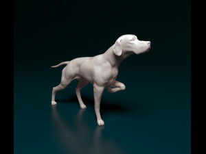 English Pointer 3D Print Model