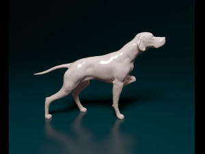 English Pointer 3D प्रिंट मॉडल