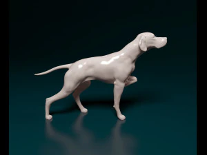 English Pointer 3D Print Model