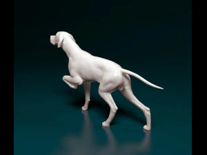 English Pointer 3D Print Model