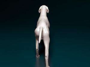 English Pointer 3D प्रिंट मॉडल