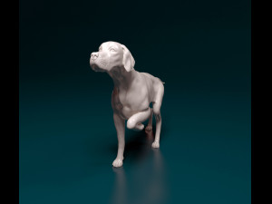 English Pointer 3D प्रिंट मॉडल