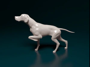 English Pointer 3D Print Model