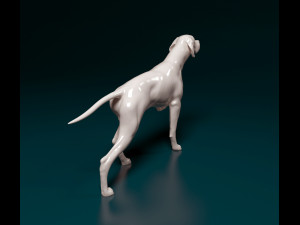English Pointer 3D प्रिंट मॉडल