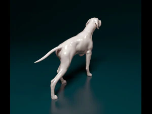 English Pointer 3D Print Model