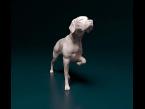 English Pointer 3D Print Model