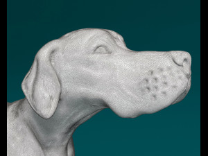 English Pointer 3D प्रिंट मॉडल