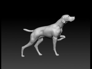 English Pointer 3D प्रिंट मॉडल
